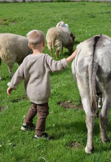 Heerlijk Huys, Vakantievilla Met Prive Tuin Ewijk المظهر الخارجي الصورة
